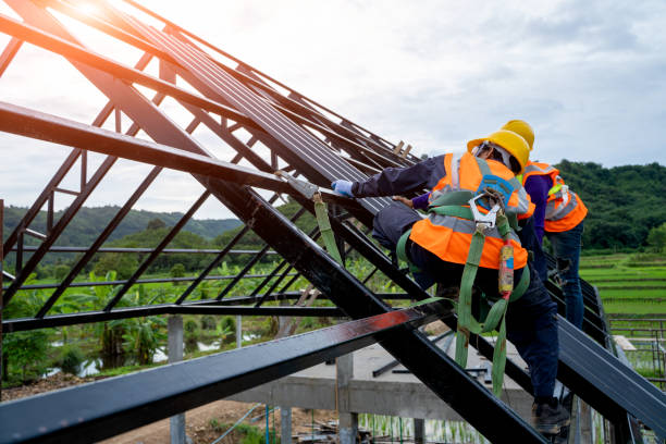 Best Roof Gutter Cleaning  in Waterville, NY